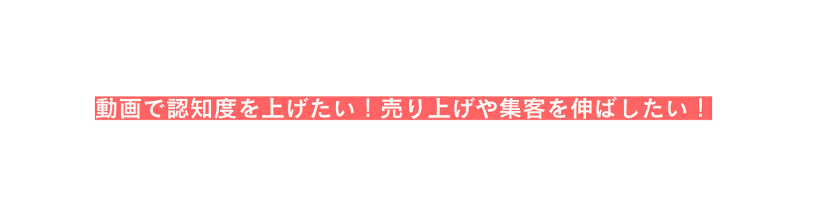 動画で認知度を上げたい 売り上げや集客を伸ばしたい